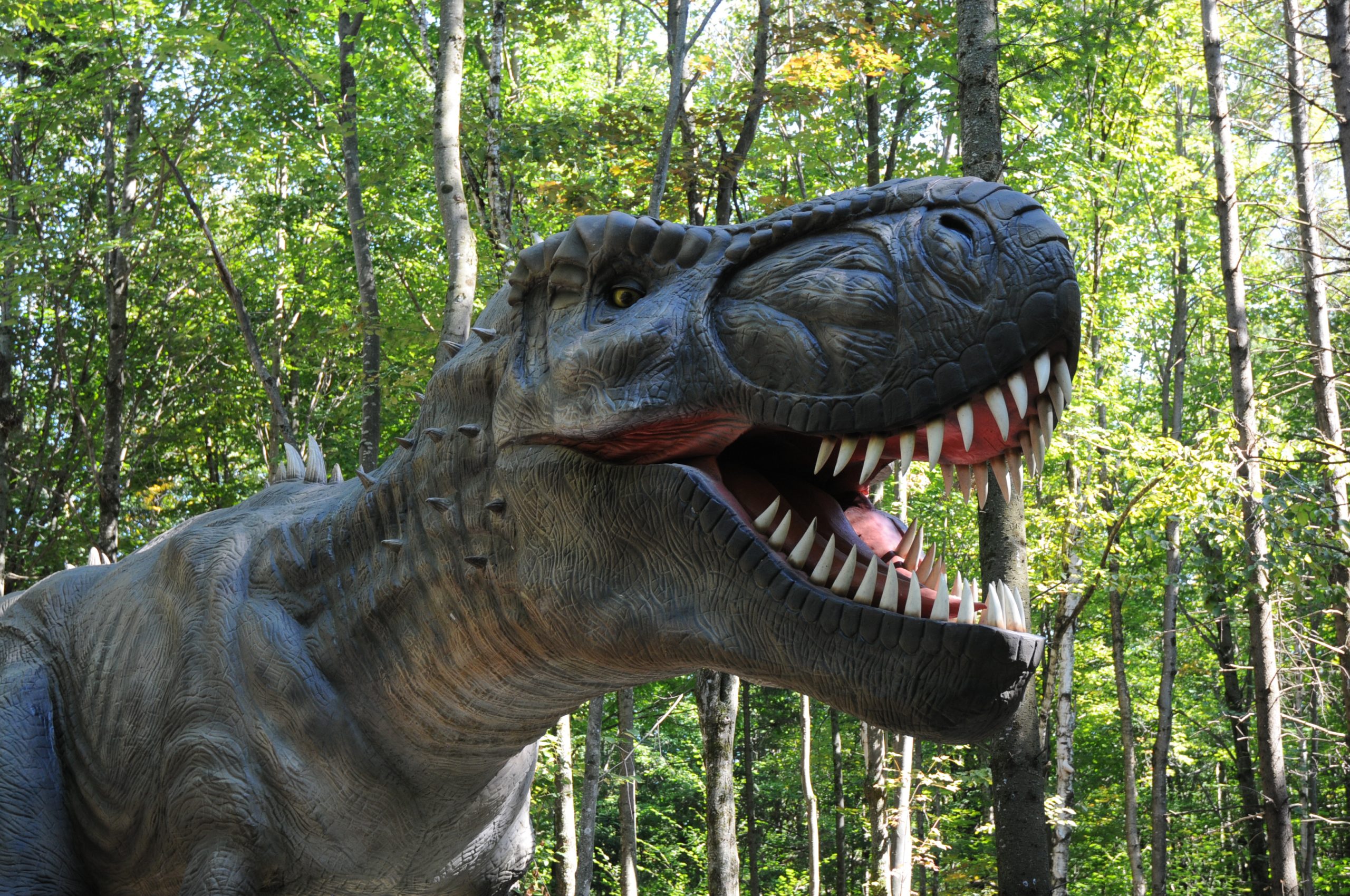 Parc de dinosaures près de Québec - Woodooliparc